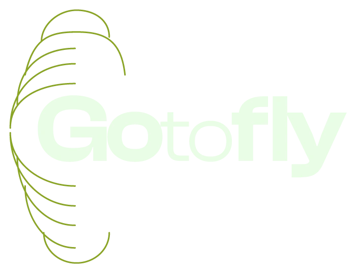 GotoFly