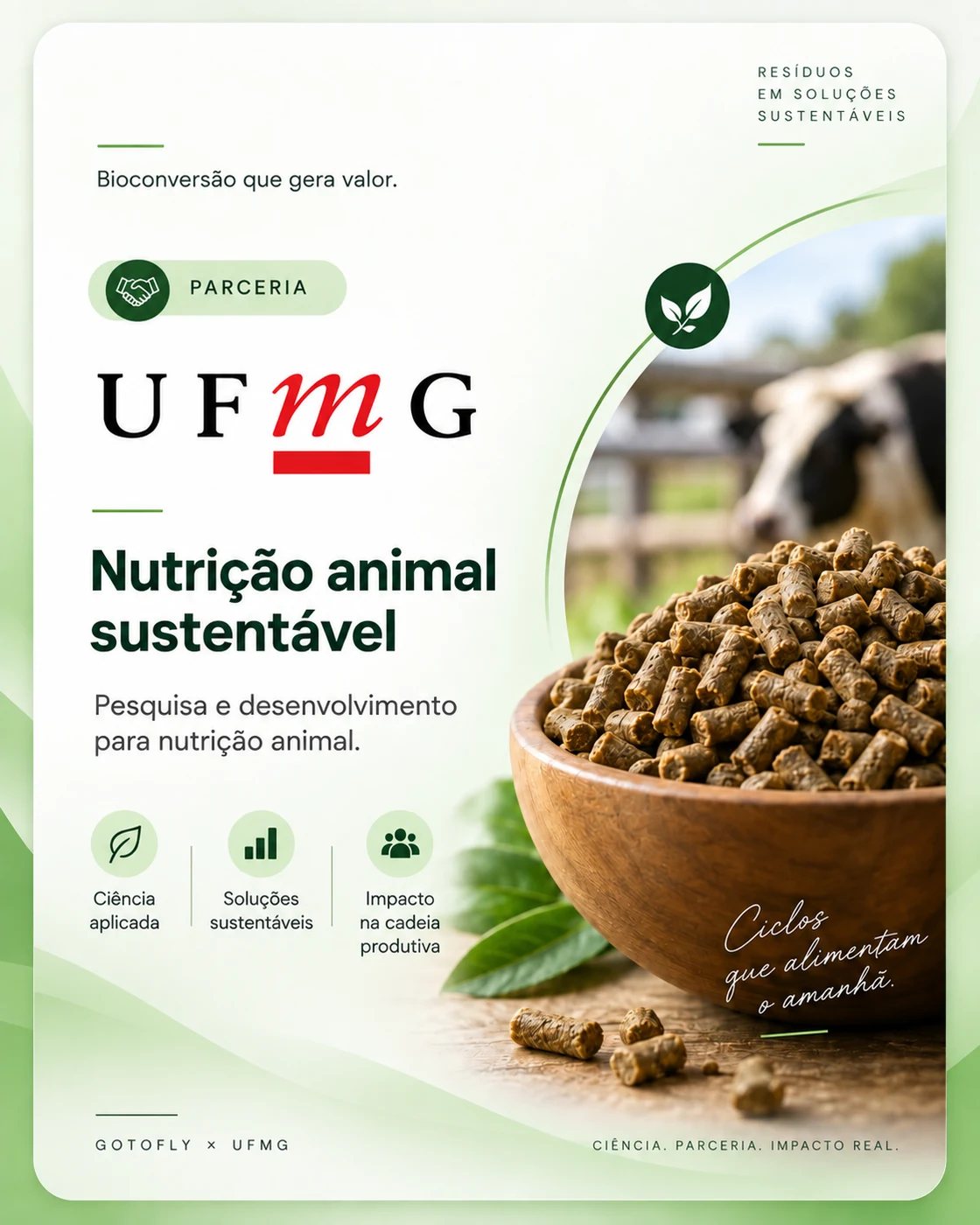 Parceria com a UFMG para nutrição animal sustentável